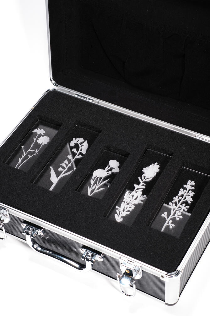 In box
